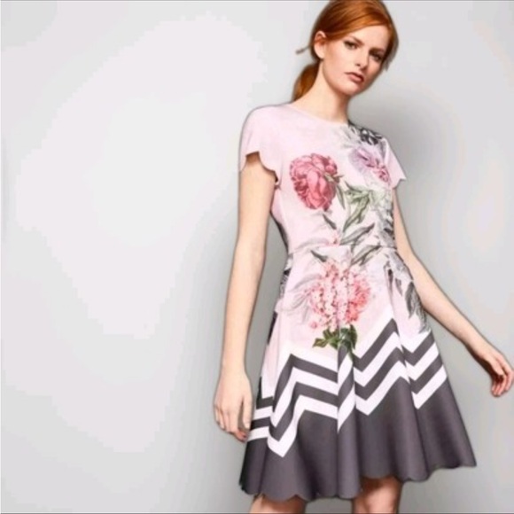 Ted Baker London Haiilie Palace Gardens Dress - Picture 2 of 11